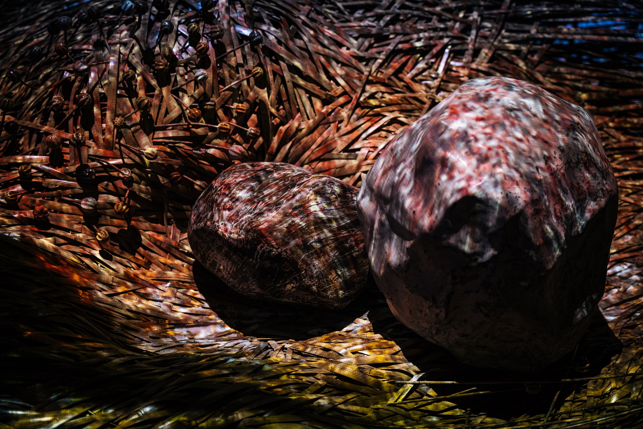 450517020_26127618283549453_7702649408516161082_n