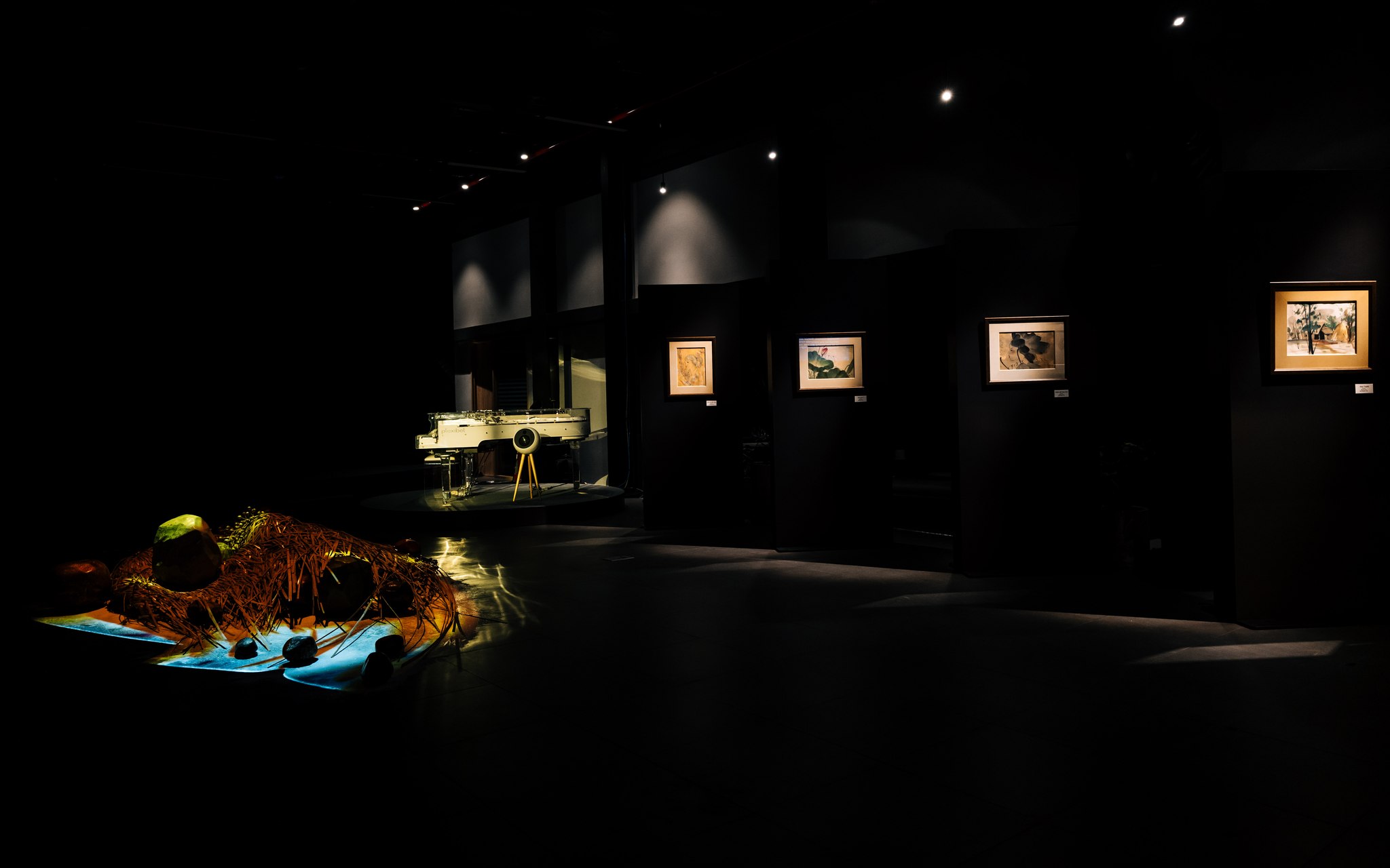 450613669_26127618686882746_2074569014436795876_n