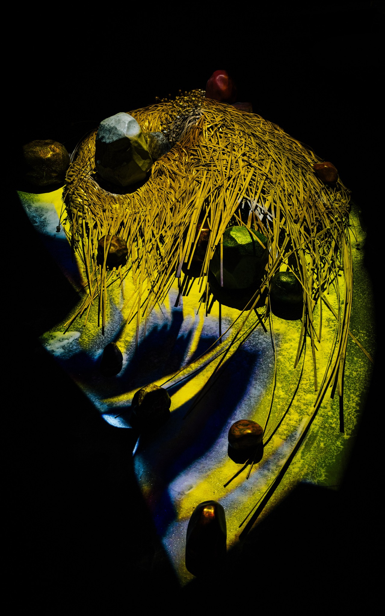 450773037_26127618333549448_2876831071418726244_n