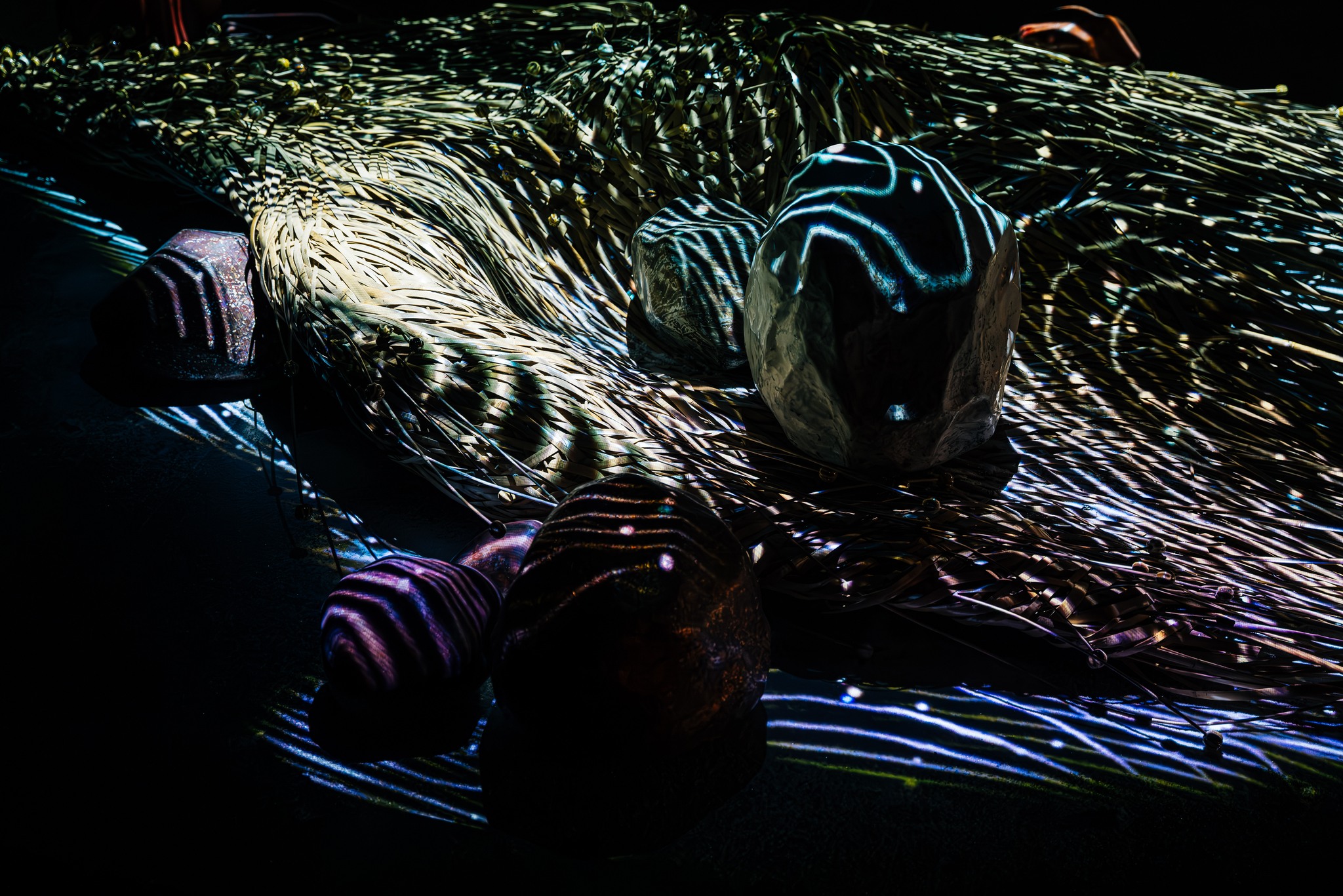 450909471_26127618446882770_7134931825335059052_n