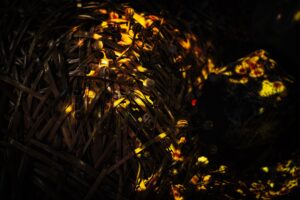 450969302_26127618113549470_1034579536751764409_n