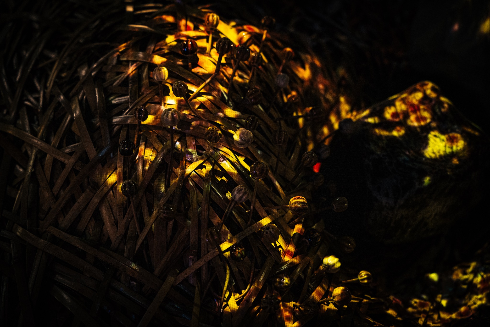 450969302_26127618113549470_1034579536751764409_n