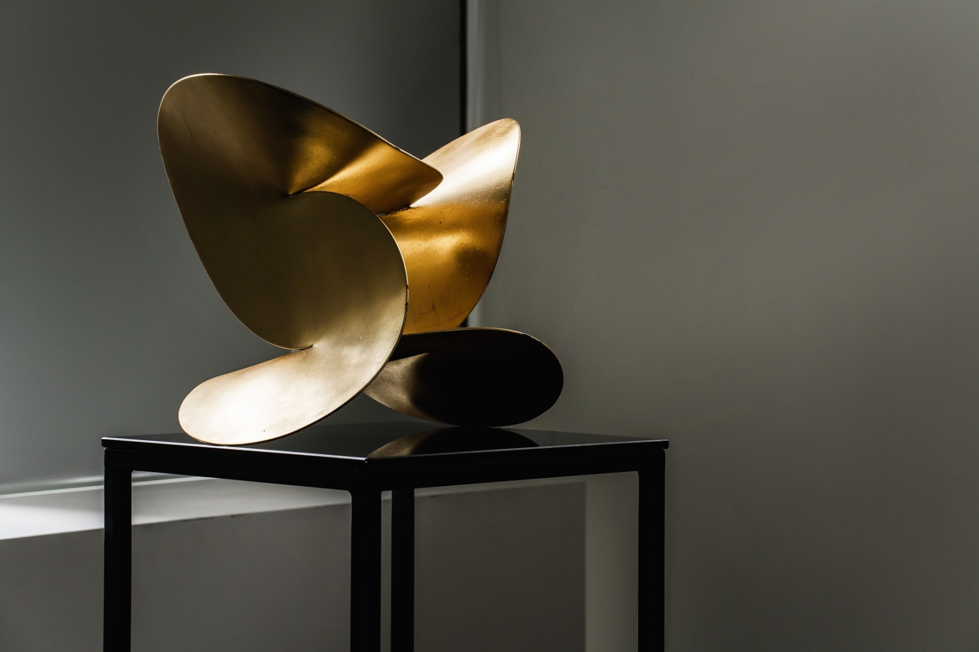 batch_352995878_126236480493338_2003089847740459717_n