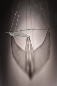 batch_353681984_126161723834147_1567387319148080222_n