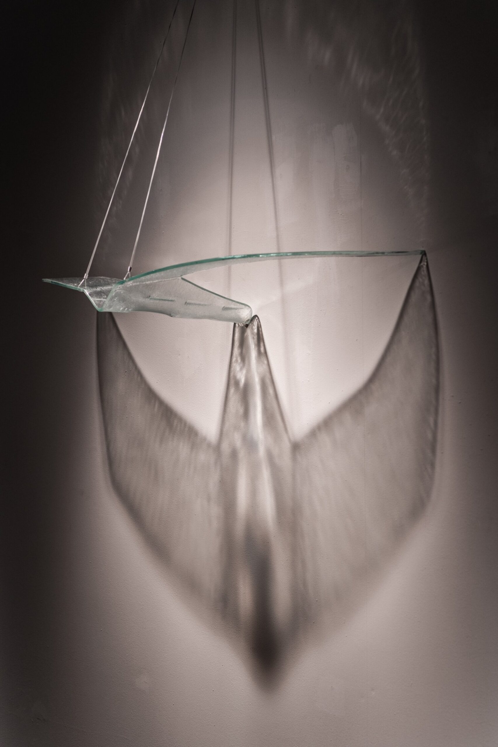 batch_353681984_126161723834147_1567387319148080222_n