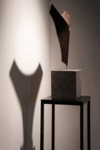 batch_355133876_126161617167491_405849865586685363_n