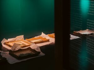 batch_IMG_20250323_173622